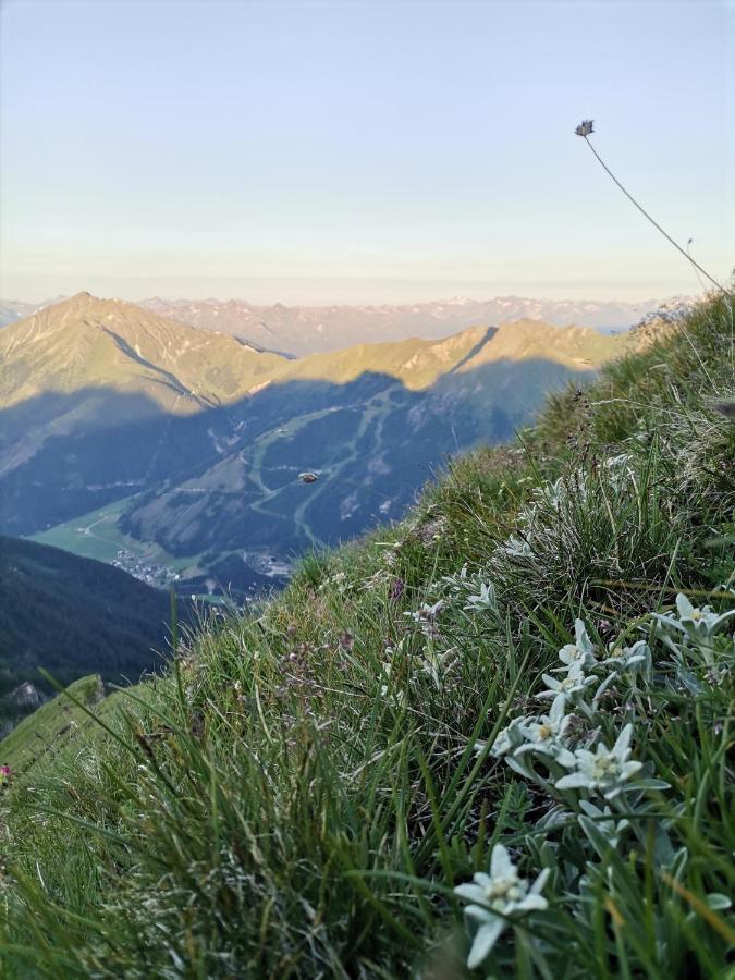 Landgasthof Steiner Matrei in Osttirol Exterior foto
