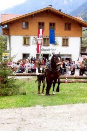 Landgasthof Steiner Matrei in Osttirol Exterior foto